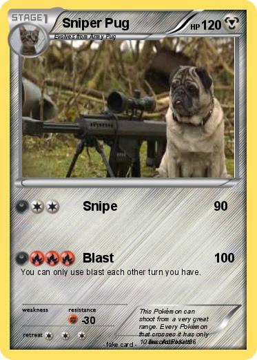 Pokemon Sniper Pug