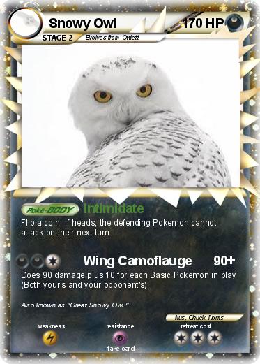 Pokemon Snowy Owl