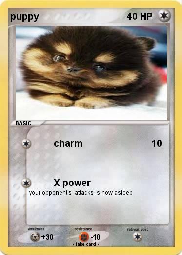 Pokemon puppy