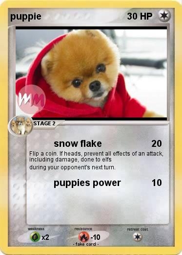 Pokemon puppie
