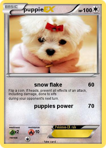 Pokemon puppie