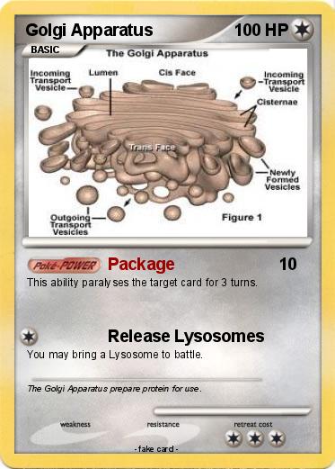 Pokemon Golgi Apparatus