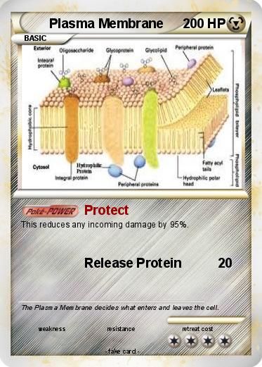 Pokemon Plasma Membrane