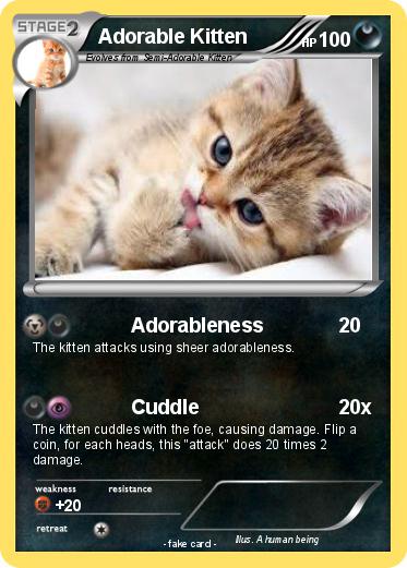 Pokemon Adorable Kitten
