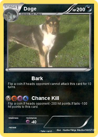 Pokemon Doge