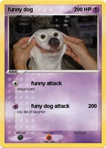 Pokemon funny dog