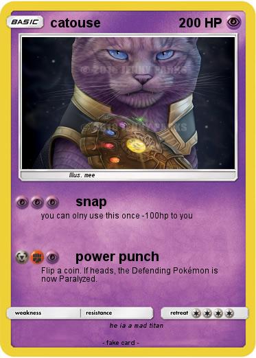 Pokemon catouse
