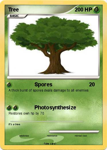 Pokemon Tree
