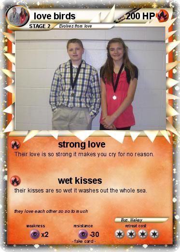 Pokemon love birds