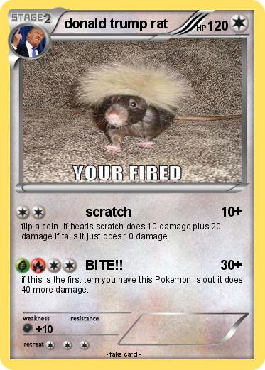 Pokemon donald trump rat