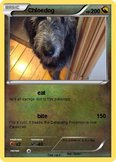 Pokemon Chloedog
