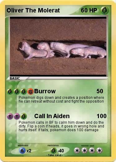 Pokemon Oliver The Molerat