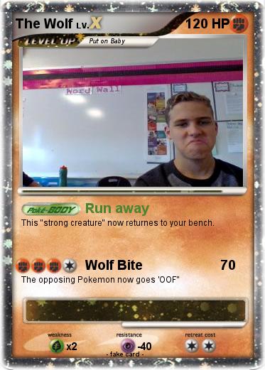 Pokemon The Wolf