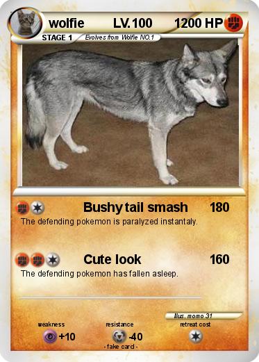Pokemon wolfie        LV.100      1