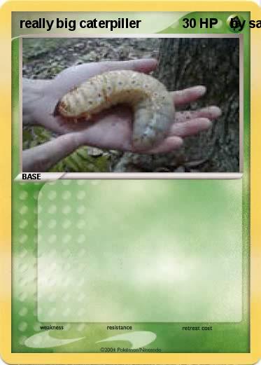 Pokemon really big caterpiller                         by samuel hymon