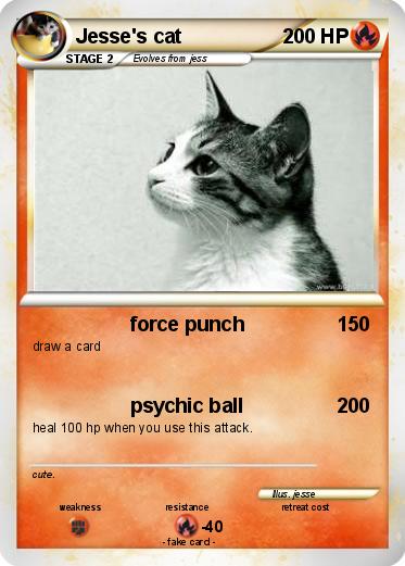 Pokemon Jesse's cat