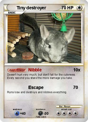 Pokemon Tiny destroyer