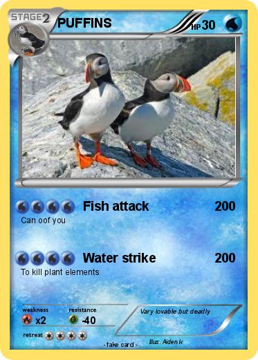 Pokemon PUFFINS