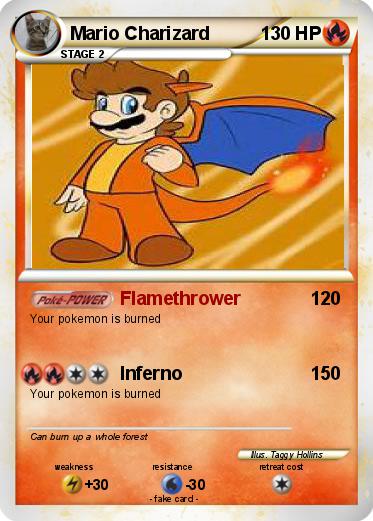 Pokemon Mario Charizard