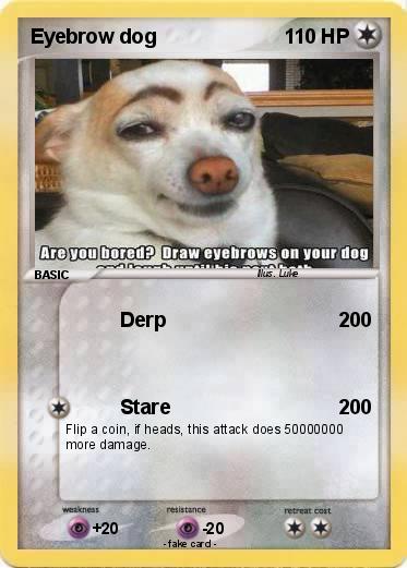 Pokemon Eyebrow dog