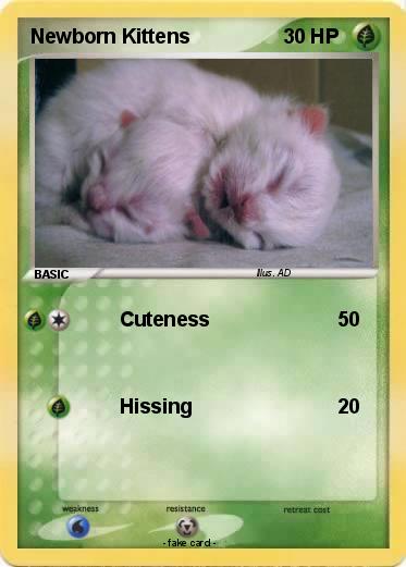Pokemon Newborn Kittens