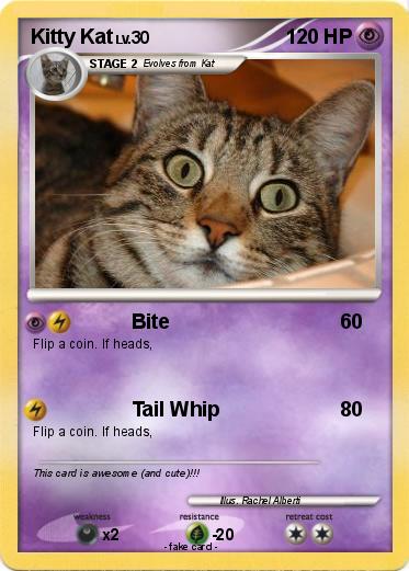Pokemon Kitty Kat