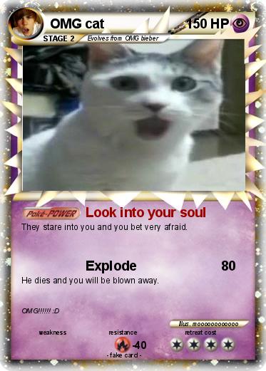 Pokemon OMG cat