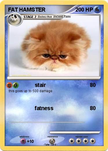 Pokemon FAT HAMSTER