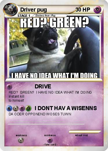 Pokemon Driver pug