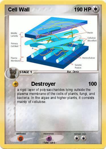 Pokemon Cell Wall