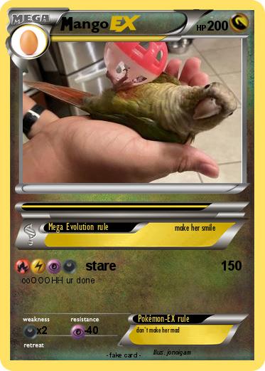 Pokemon ango