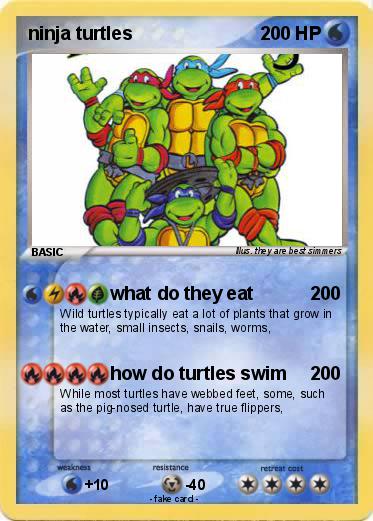 Pokemon ninja turtles