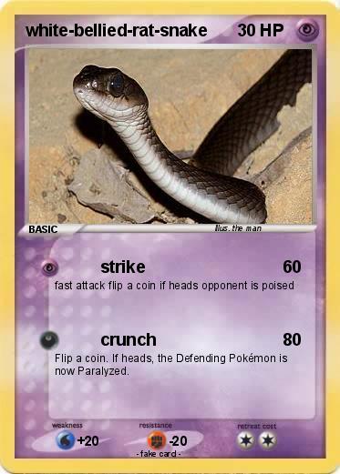Pokemon white-bellied-rat-snake