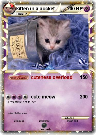 Pokemon kitten in a bucket
