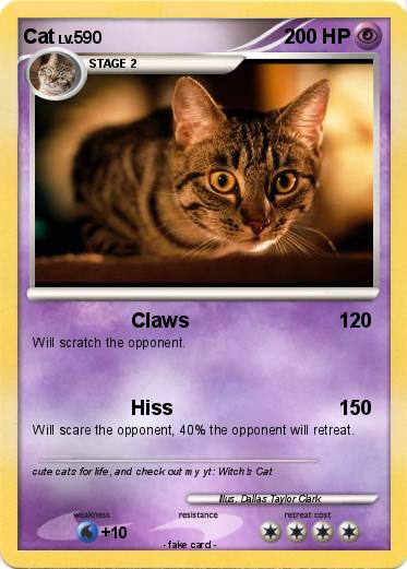 Pokemon Cat