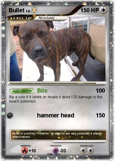 Pokemon Bullet