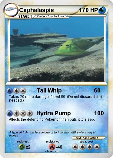 Pokemon Cephalaspis
