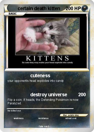 Pokemon certain death kitten