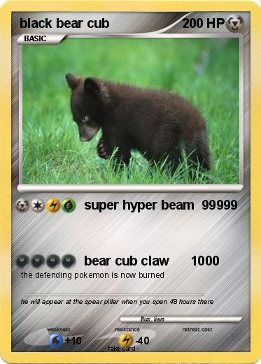 Pokemon black bear cub