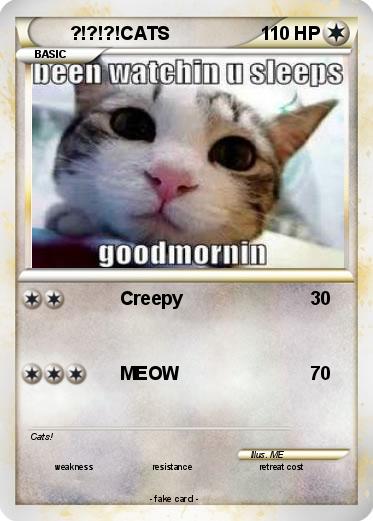 Pokemon ?!?!?!CATS