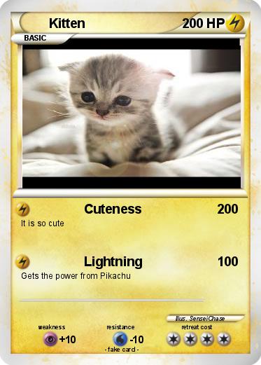 Pokemon Kitten