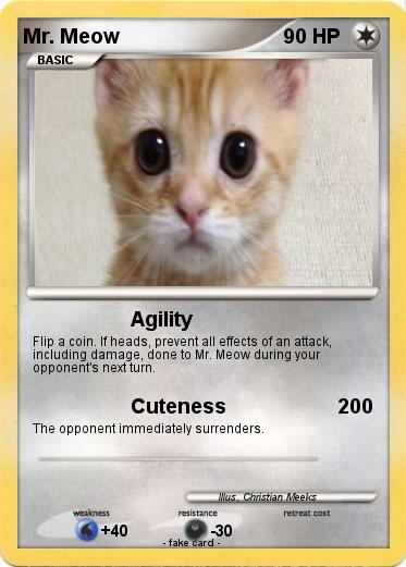 Pokemon Mr. Meow