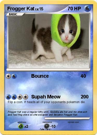 Pokemon Frogger Kat