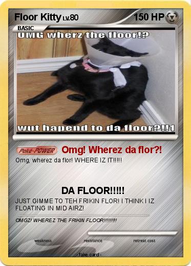 Pokemon Floor Kitty