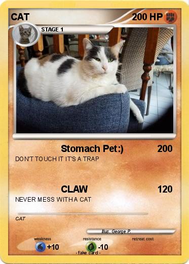 Pokemon CAT