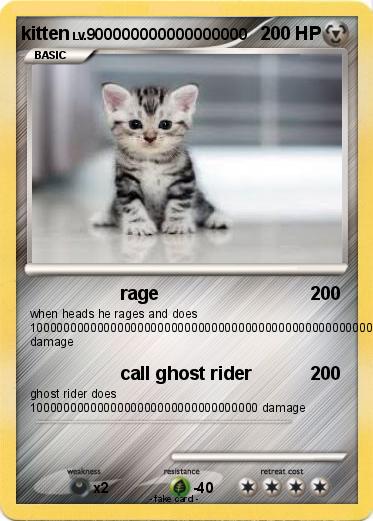 Pokemon kitten
