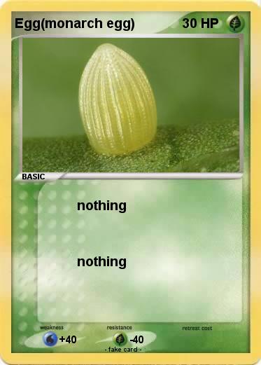 Pokemon Egg(monarch egg)