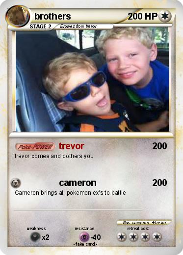 Pokemon brothers
