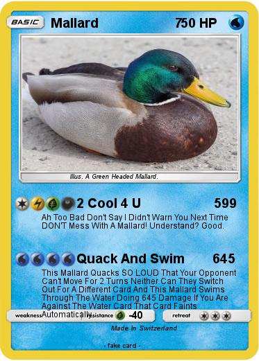 Pokemon Mallard                      7