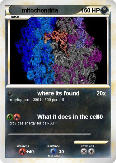 Pokemon mitochondria
